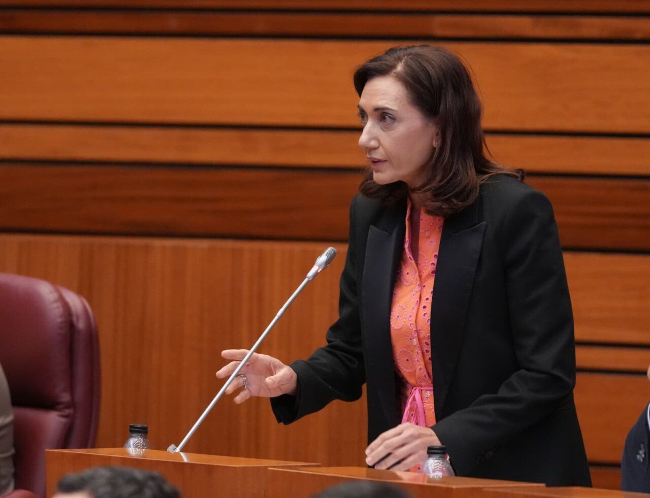 Alicia Gallego, portavoz de UPL, durante su intervención en las Cortes de Castilla y León.